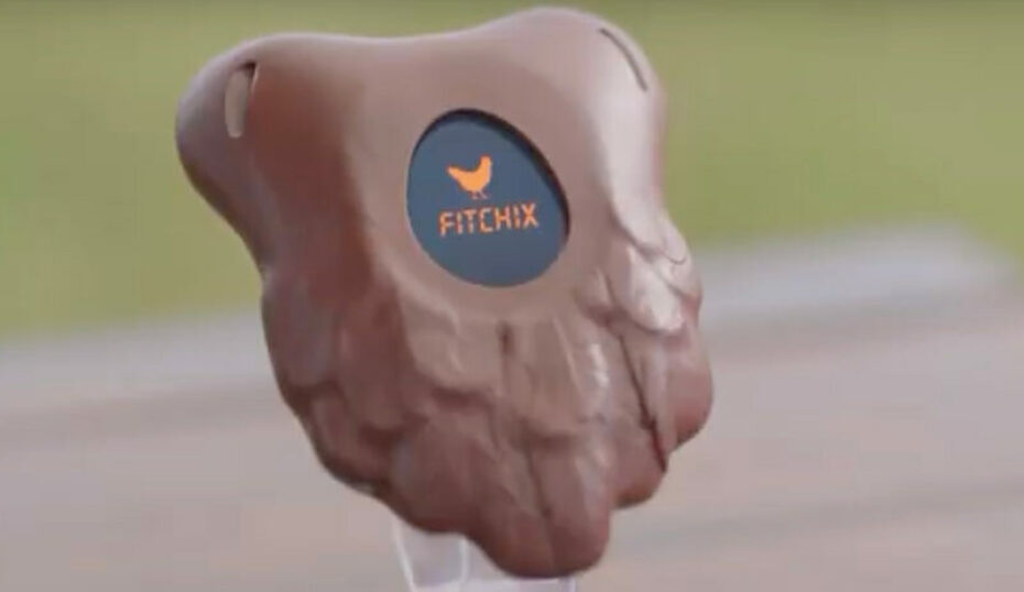 Fitchix activity tracker for chickens